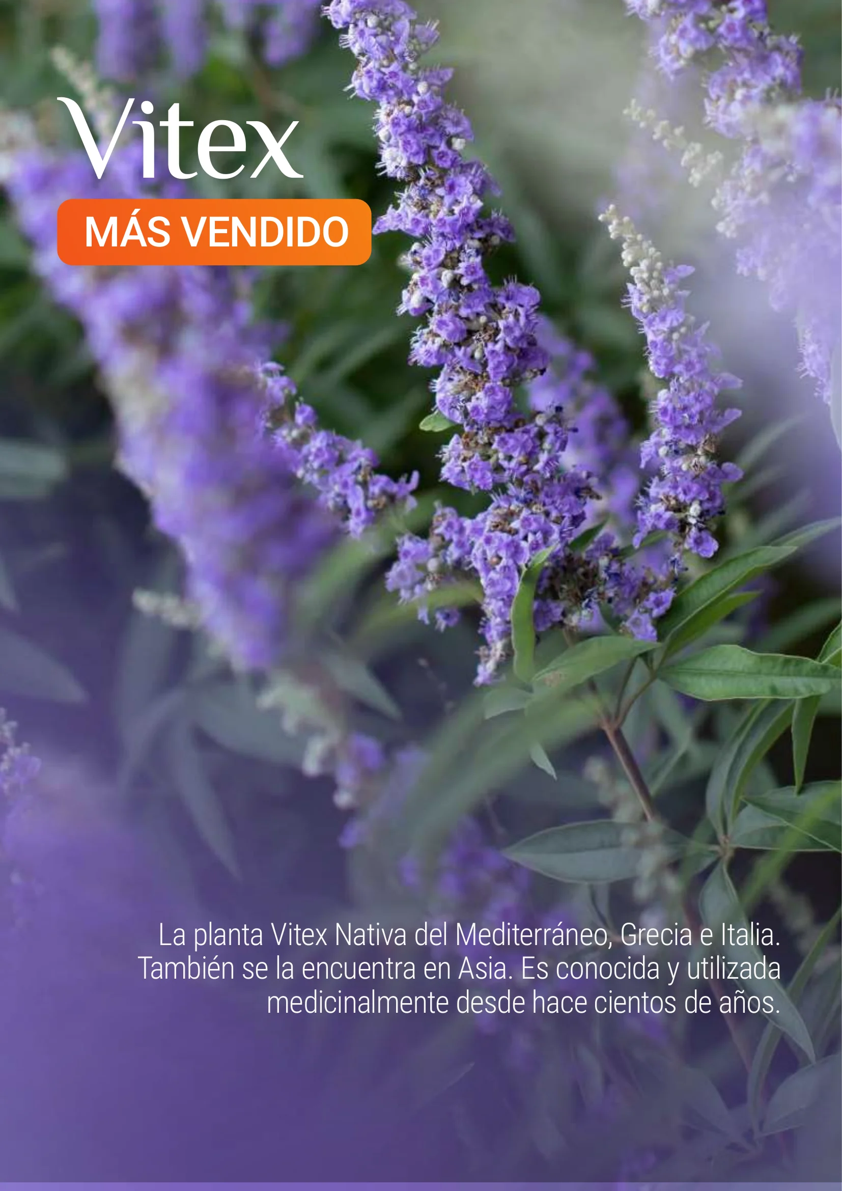 Producto Datta Verde - Muestra de laboratorio 4