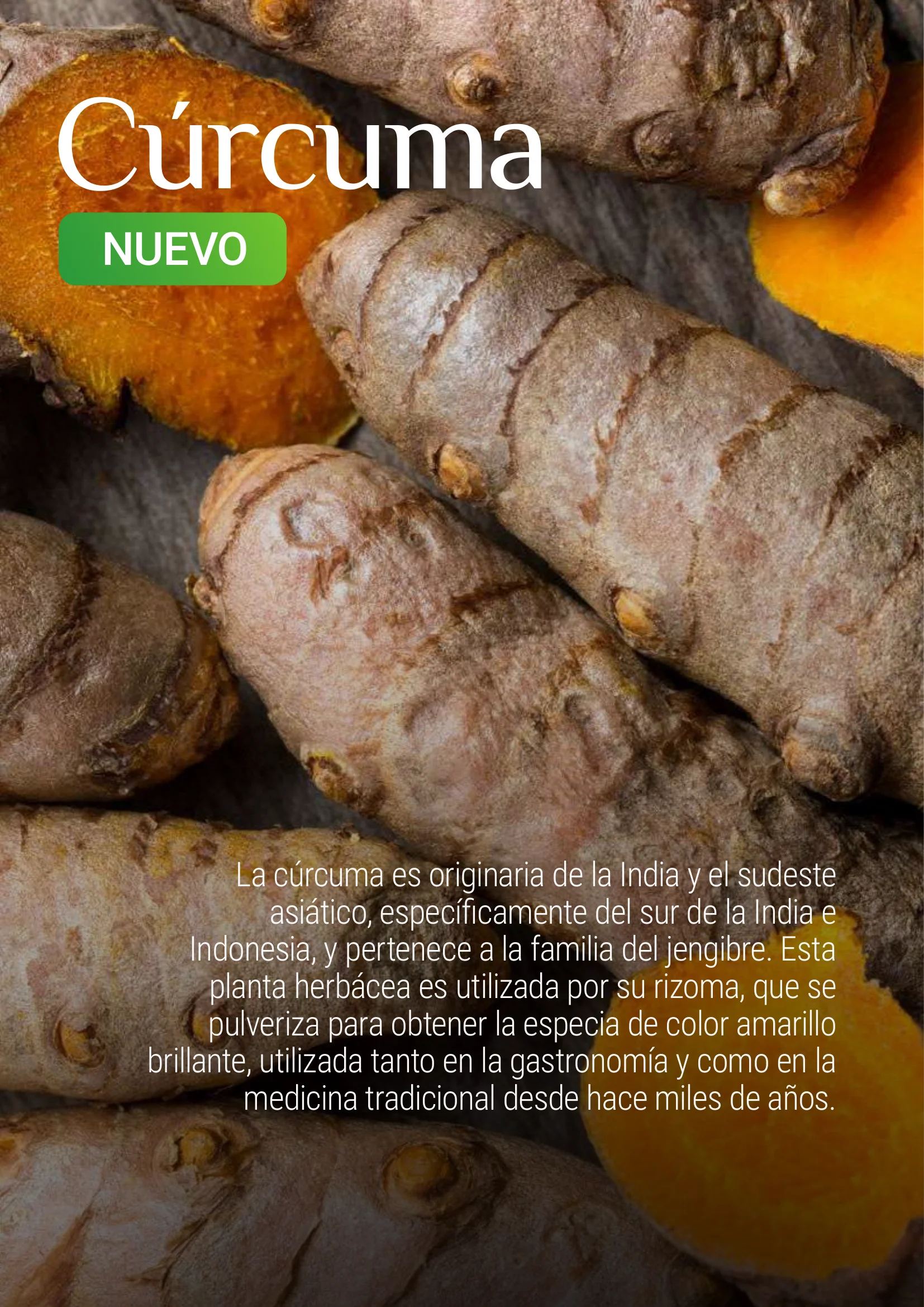 Producto Datta Verde - Muestra de laboratorio 5