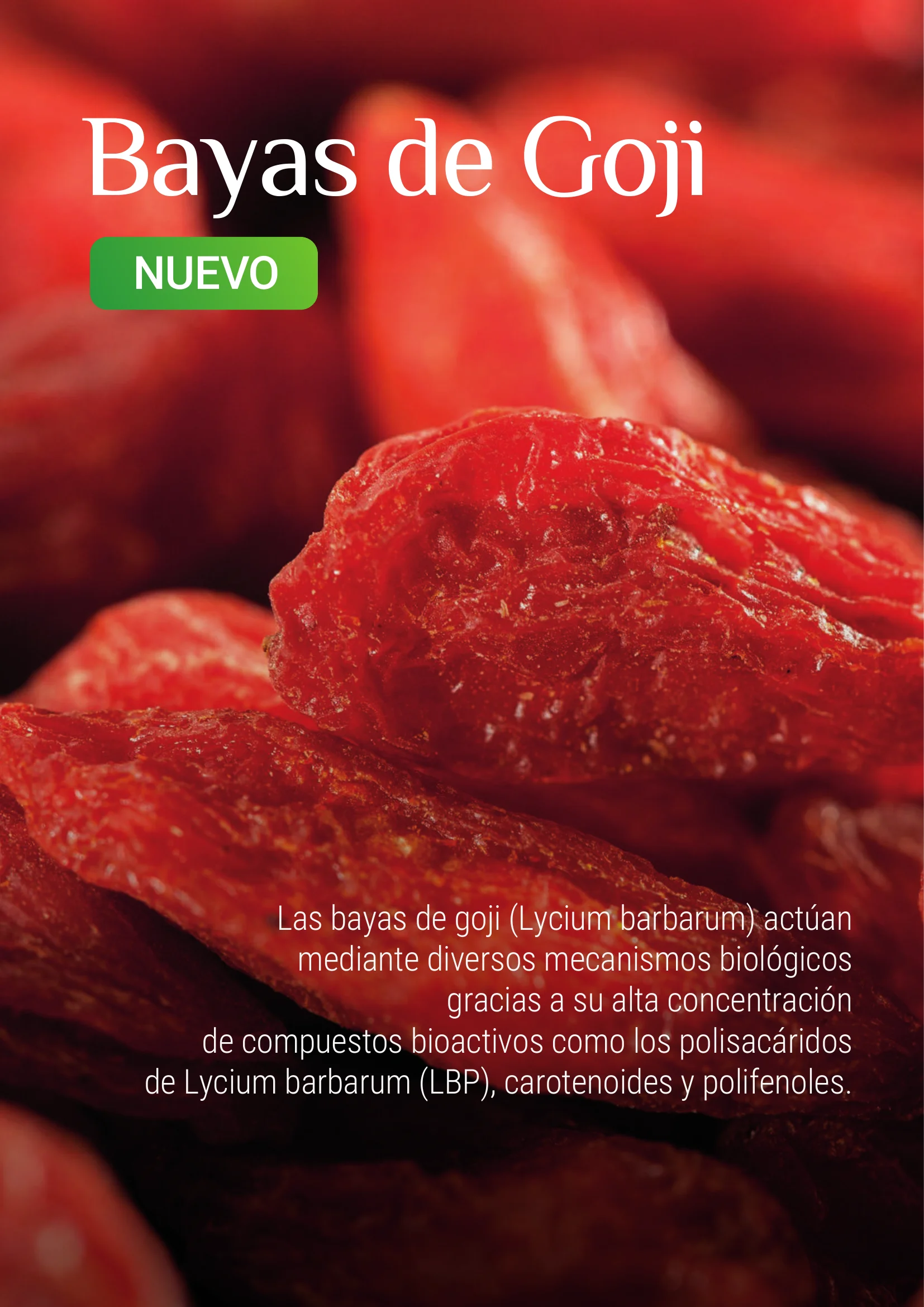 Producto Datta Verde - Muestra de laboratorio 7