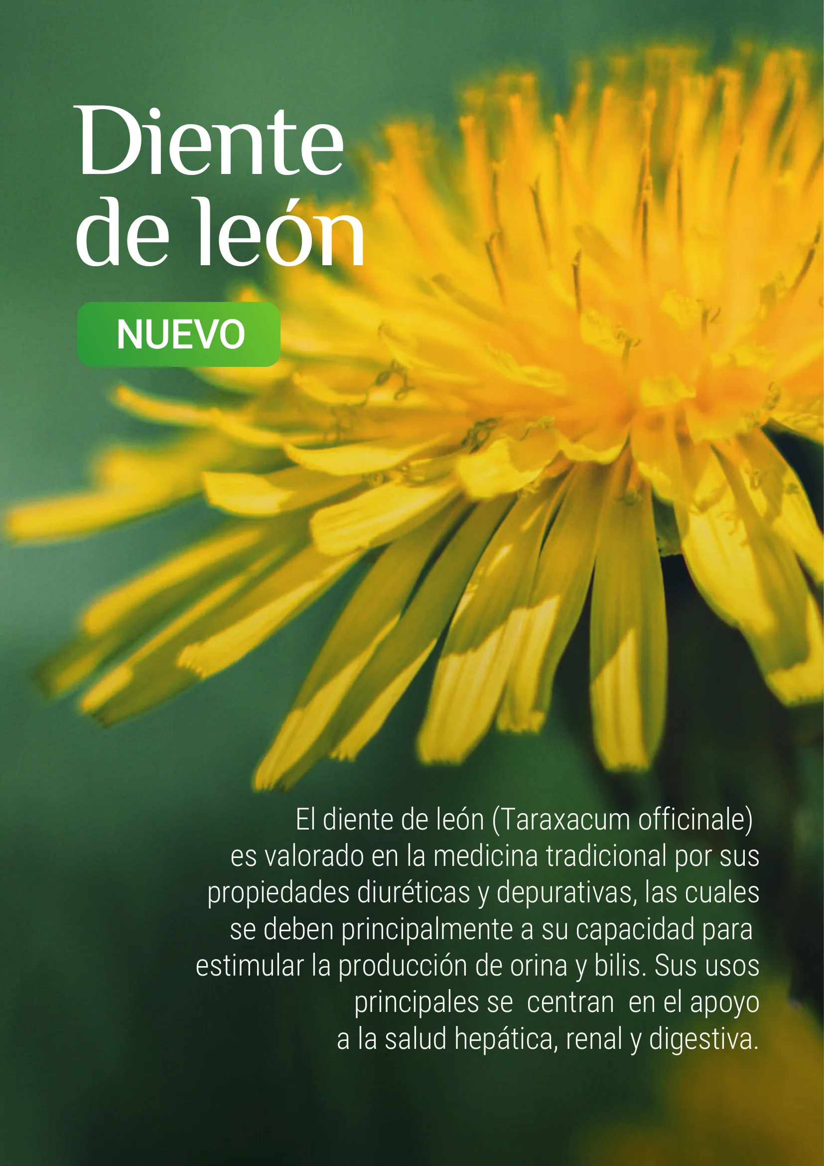 Producto Datta Verde - Muestra de laboratorio 8
