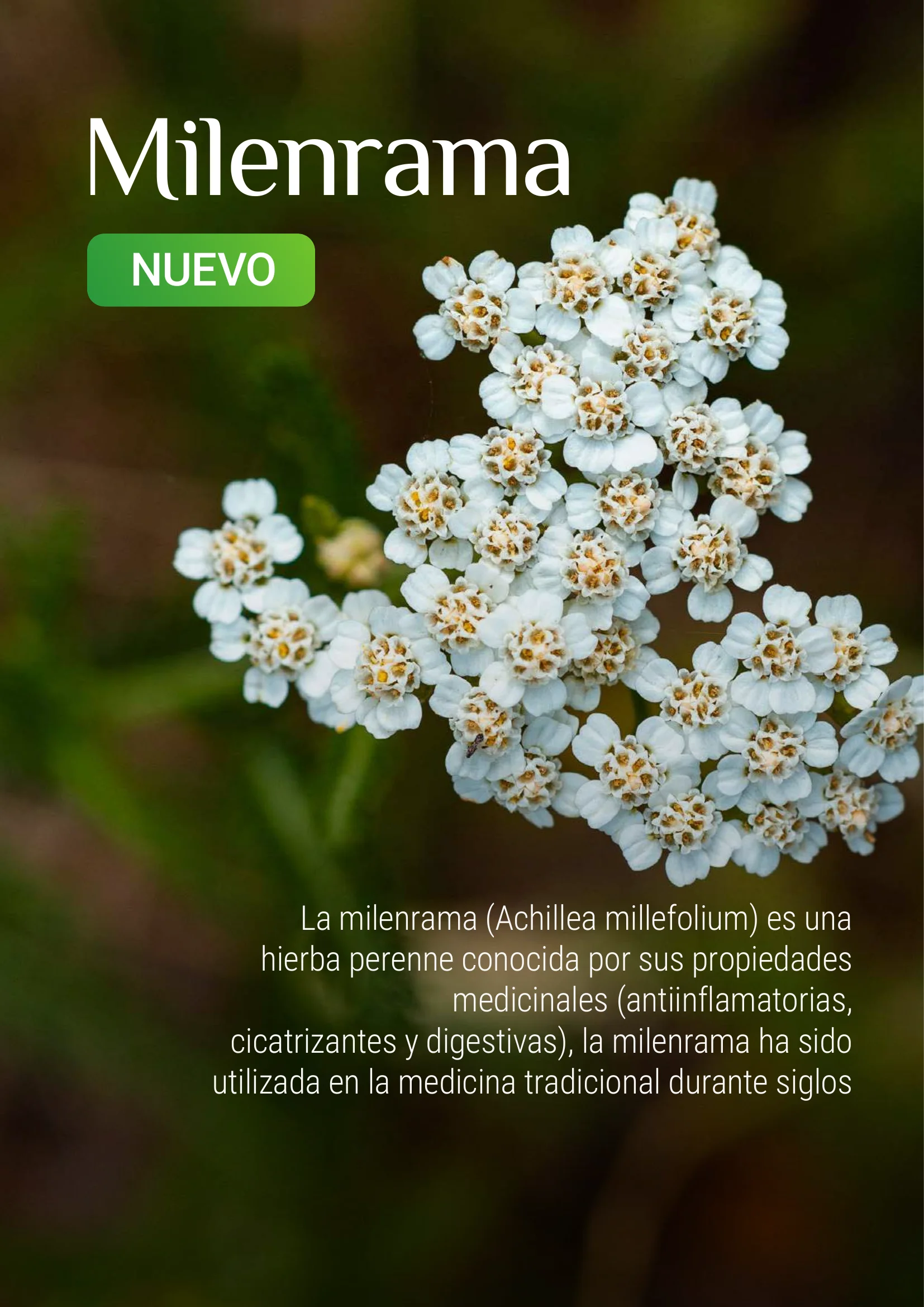 Producto Datta Verde - Muestra de laboratorio 9
